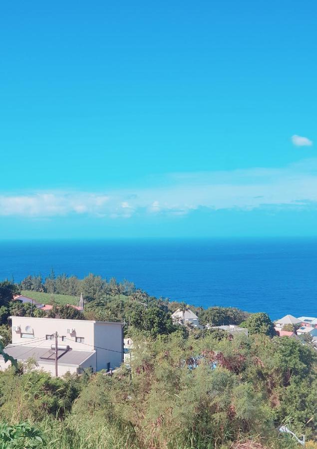 Lilie Location Manapany 4 Etoiles Villa Petite Île Buitenkant foto